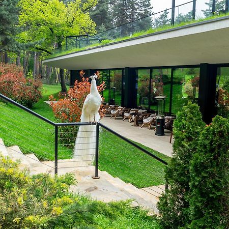 Bioli Wellness Resort Kojori Exteriör bild