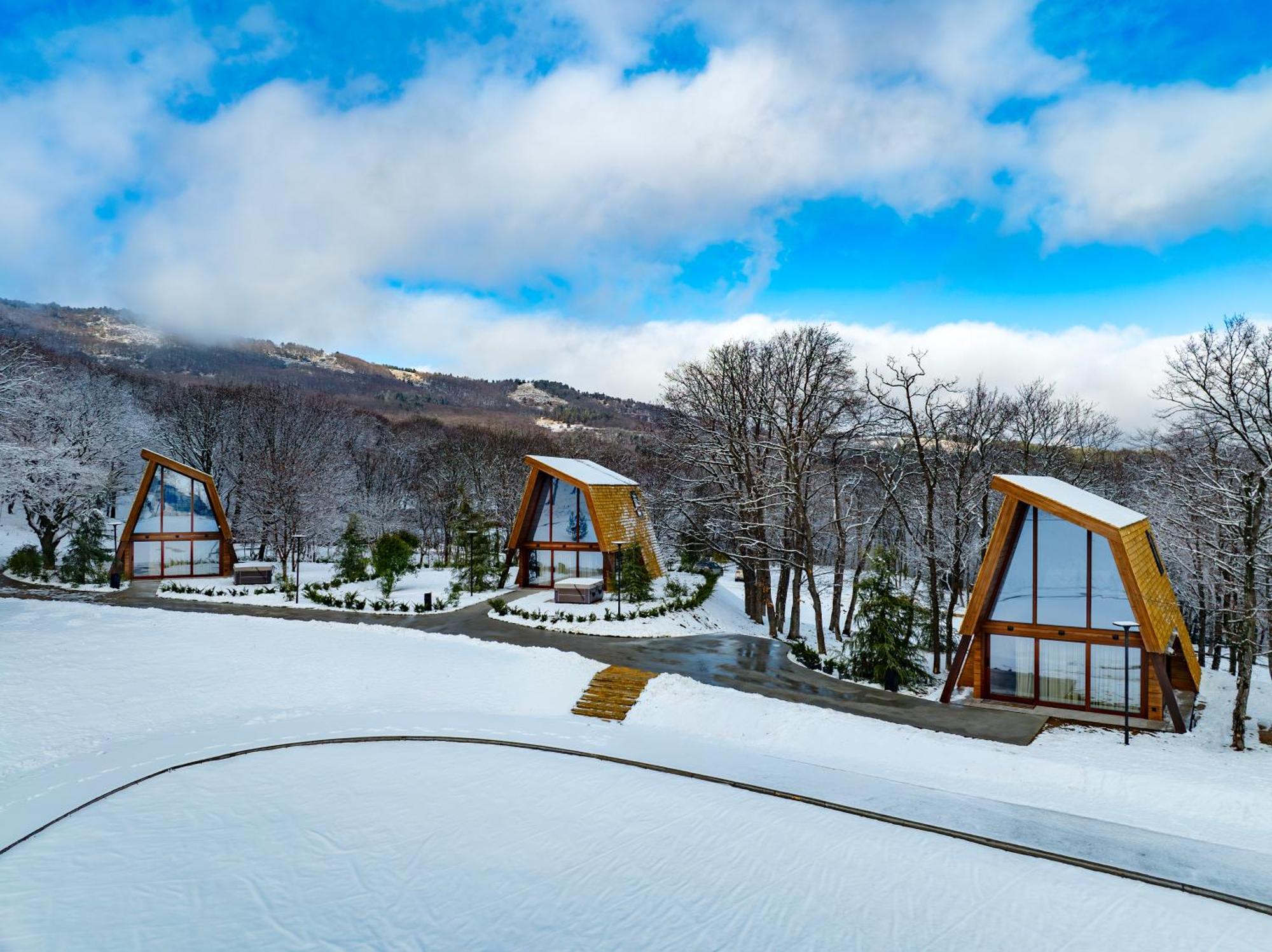 Bioli Wellness Resort Kojori Rum bild