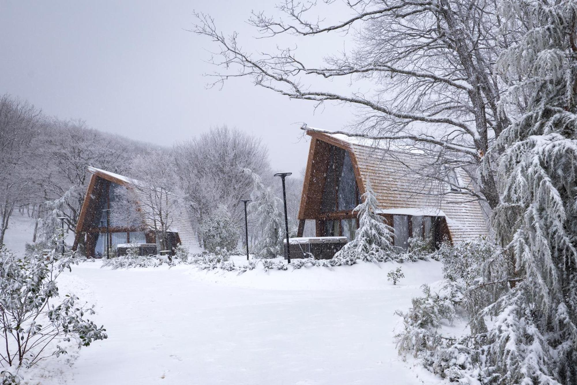 Bioli Wellness Resort Kojori Exteriör bild